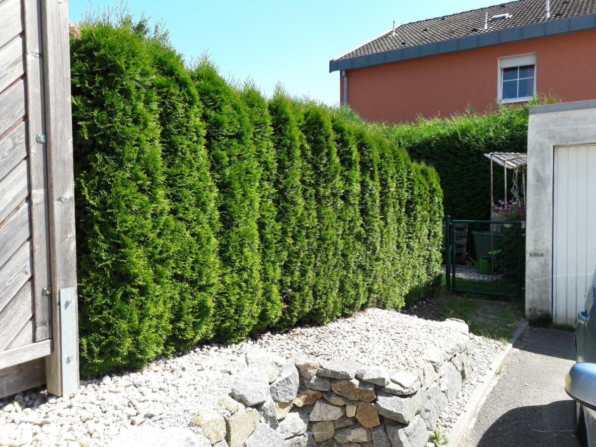 Haus Engler Apartment